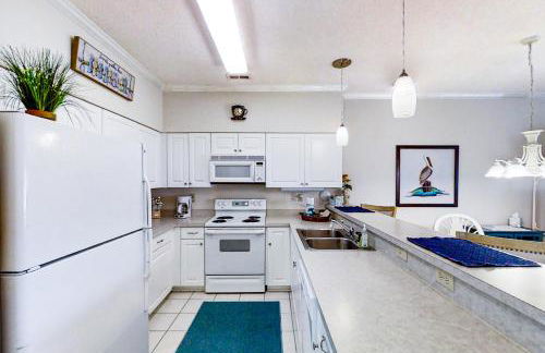 Scotch Broom E-104 - Foto 3