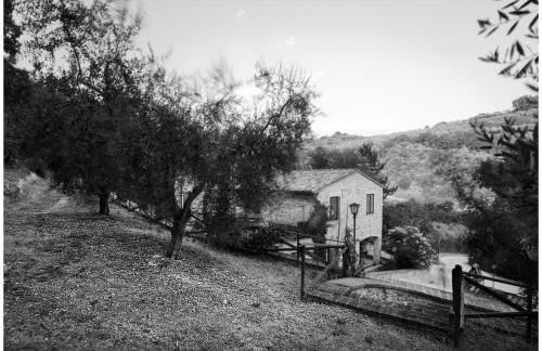 Il renaiolo - Foto 29