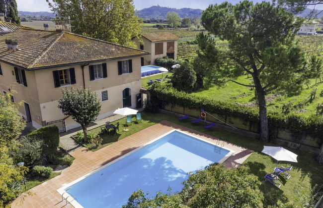 Scaletta + GIrasole - Foto 38