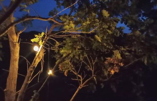 Casa nei 3 alberi, Molise - Foto 23