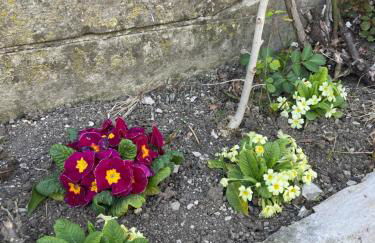 Casa Vacanze Ca' di Lucchini - Photo 11