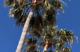 Valencia Sol y Playa - Foto 50