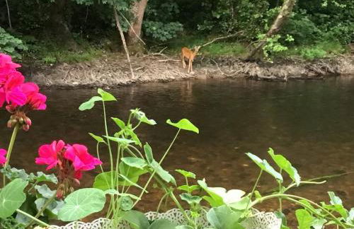 Moulin Grand, entire accommodation, 2br park river - Foto 25