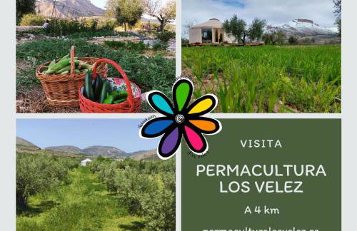 Los Caños de La Casa Viva - Foto 60