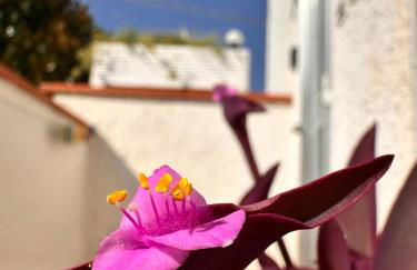 Iris Apartment-trilocale vistamare, 50 m dalla spiaggia - Foto 47