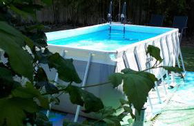 Celtic Rivers - Photo 18