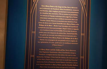 La Pensine du célèbre sorcier - Foto 66