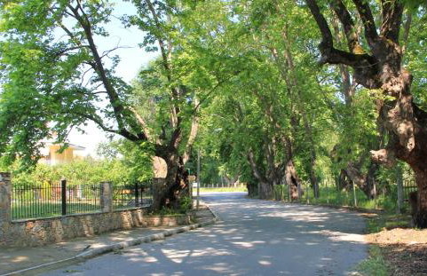 Hotel Geromichalos - Foto 55