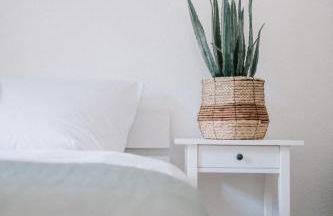 Appartement Residenz Rosenbach – Gemütliche Unterkunft am Rosenbachpark im Herzen von Würzburg - Foto 2