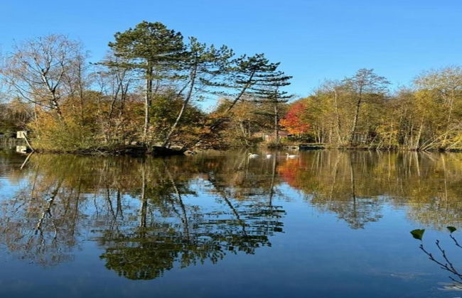 Chalet in Friesland Near Large Lakes - Foto 40