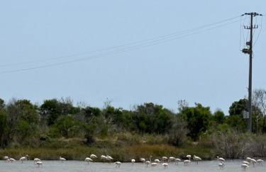 Aloha Sicily - Foto 22