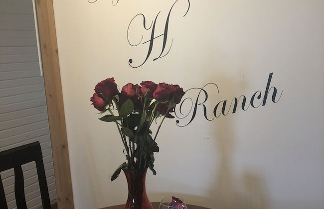 Cora's Cabins - Photo 56