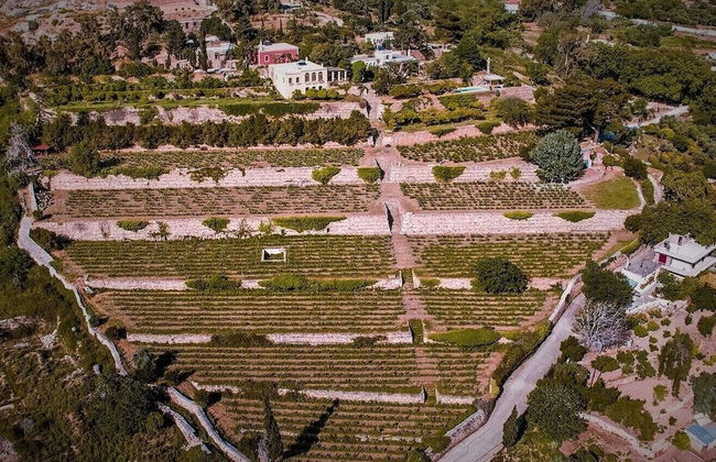 Montofoli Wine Estate - Foto 61