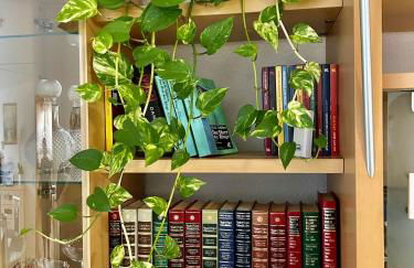 LuxuryOrion,nahe Europapark & Rulantica,Netflix,Disney,KartinaTV - Foto 17