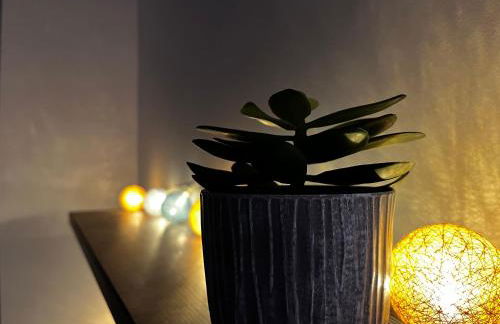 Appartement avec terrasse Salle de sport et 3 chambres - Foto 11