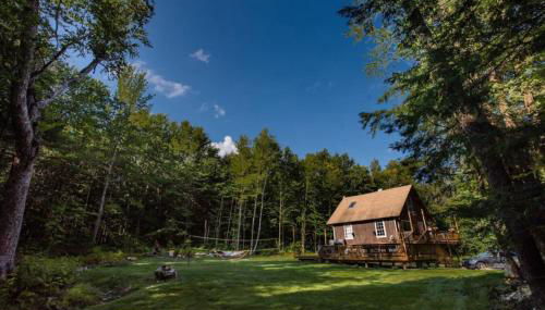 Dream Stratton Forest Cabin with Hot Tub and Fast WiFi - Foto 2, Garden