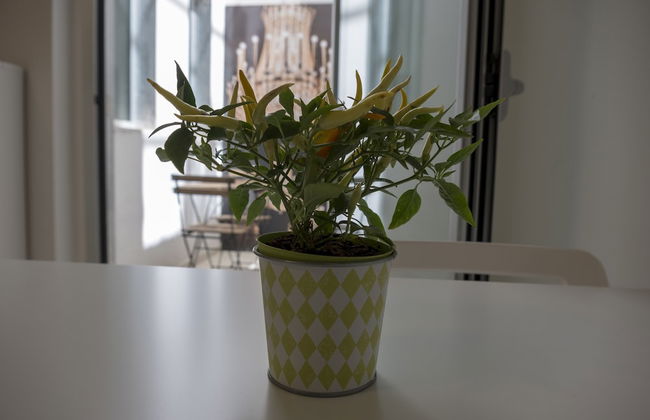 Enjoy Trani - Foto 24