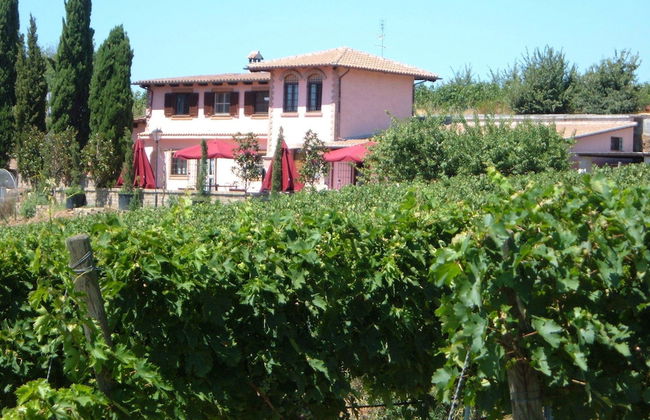 Azienda Agricola Sinisi - Foto 32