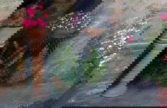 Casa Guaitoli - Foto 37