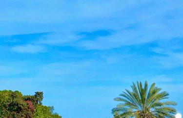 Beatrice's House - Foto 8