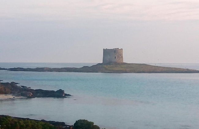 Holiday Home in Stintino Near Sea Beach - Photo 27