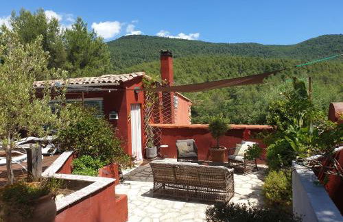 Gîte dans Mas provençal ,havre de paix - Foto 8