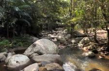 Espaço Isha Canelinha - Foto 15