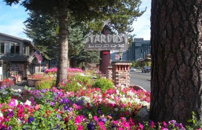 Stardust Lodge - Foto 22