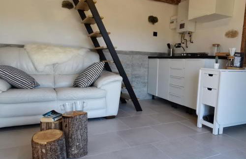 Maison de vigne rénovée à Langeac, nature et randonnées - FR-1-582-86 - Foto 11