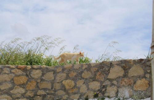 Tranditional Stone House - Foto 18