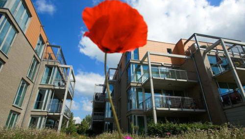 Apartment in Alt Travemünde by Interhome - Foto 2