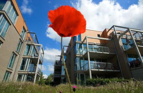 Apartment in Alt Travemünde by Interhome - Foto 2