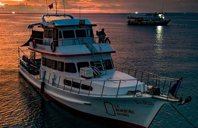 Batismo de mergulho em Koh Tao - Foto 13