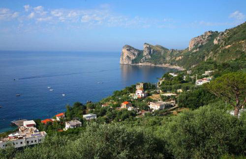 Villa Rita Apartments - Foto 6