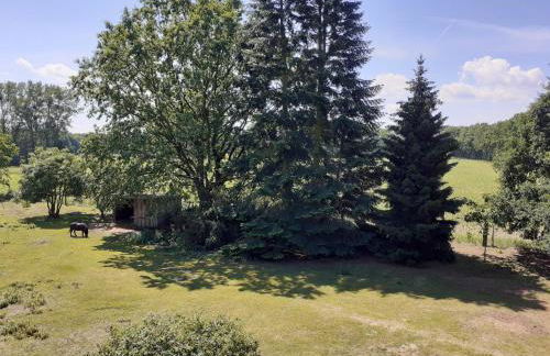 Ferienwohnung ehemalige Revierförsterei "uns Lütt" - Photo 14