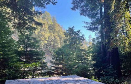 The Groves at Redway Beach - Craftsman - Foto 18