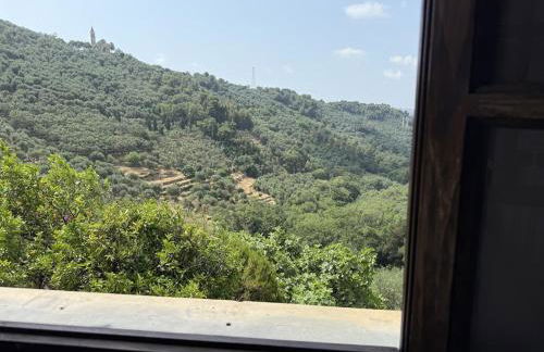 HOST4U - Cozy Warm House with Beautiful View on the Olives Valley - Foto 12