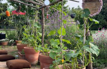 Tenuta Di Paternostro - Foto 34