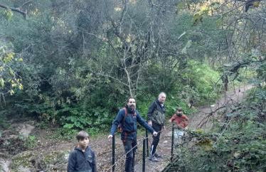 La Buganvilla, descanso entre olivares - Foto 21