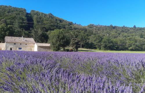 Camin'hôtes Drôme Spa Soleil Couchant - Photo 35