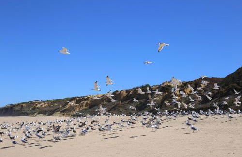 Casa do Pai Beach House - Foto 56