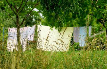 JANISCHs Fewo im Spreewald, Terrasse, großer Garten und Blick inklusive - Foto 50