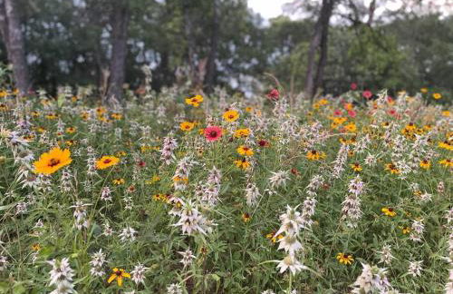 Colorado river access, game room & swimming pool - Photo 23