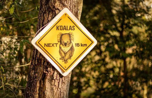 Chácara Atibaia com Casa na Árvore - Foto 73