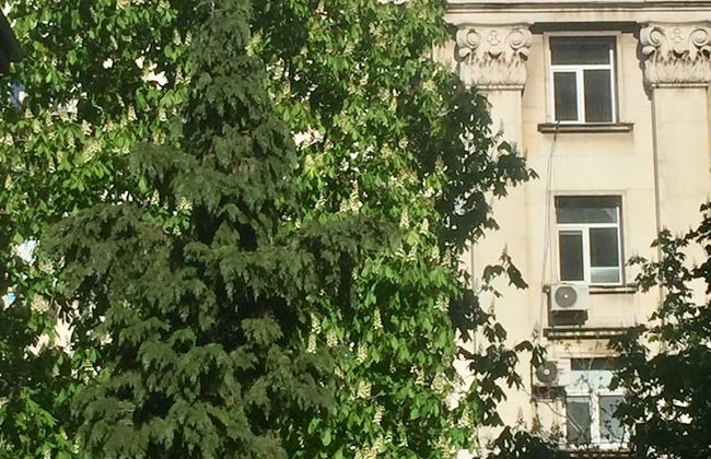 Apartments next to Opera - Photo 21