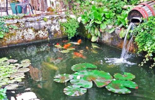 Les Roches de Roquecor - Foto 6