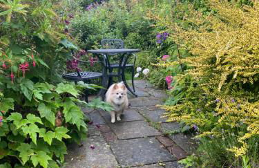 Cosy cottage in Bridport centre - Photo 21