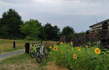 Domaine équestre de la Chênaie - Foto 59