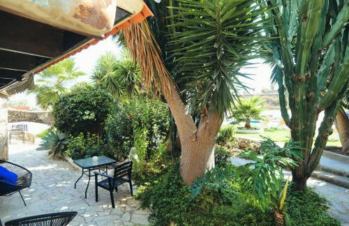 Finca Vino Tinto 4 - Foto 19