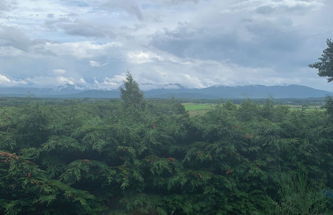 Amazing Cottage With Indoor Private Pool - Foto 27